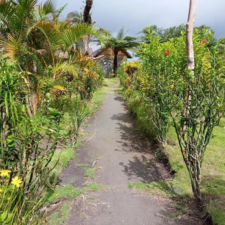 Yasur View Bungalows Loanengo Bagian luar foto