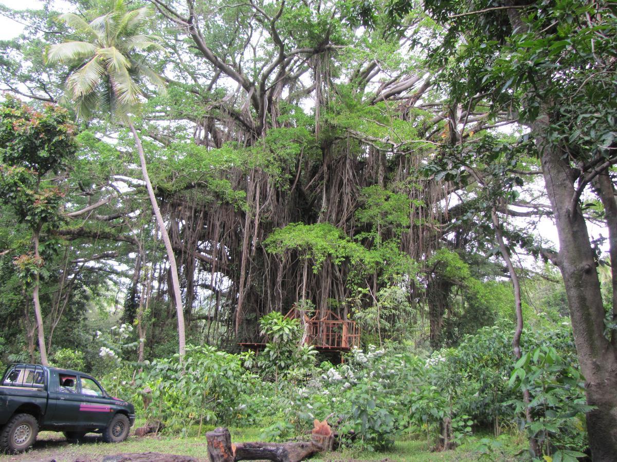 Yasur View Bungalows Loanengo Bagian luar foto